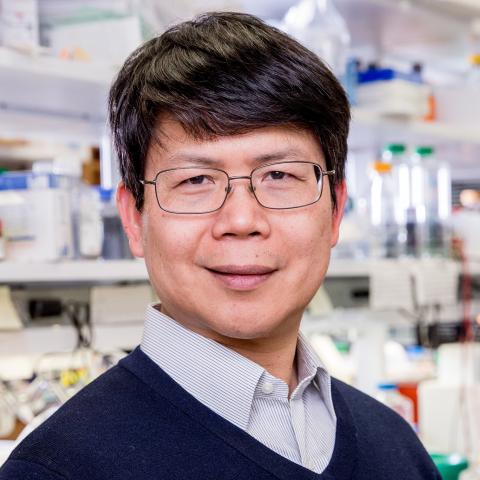 Chen Lab | UT Southwestern, Dallas, Texas